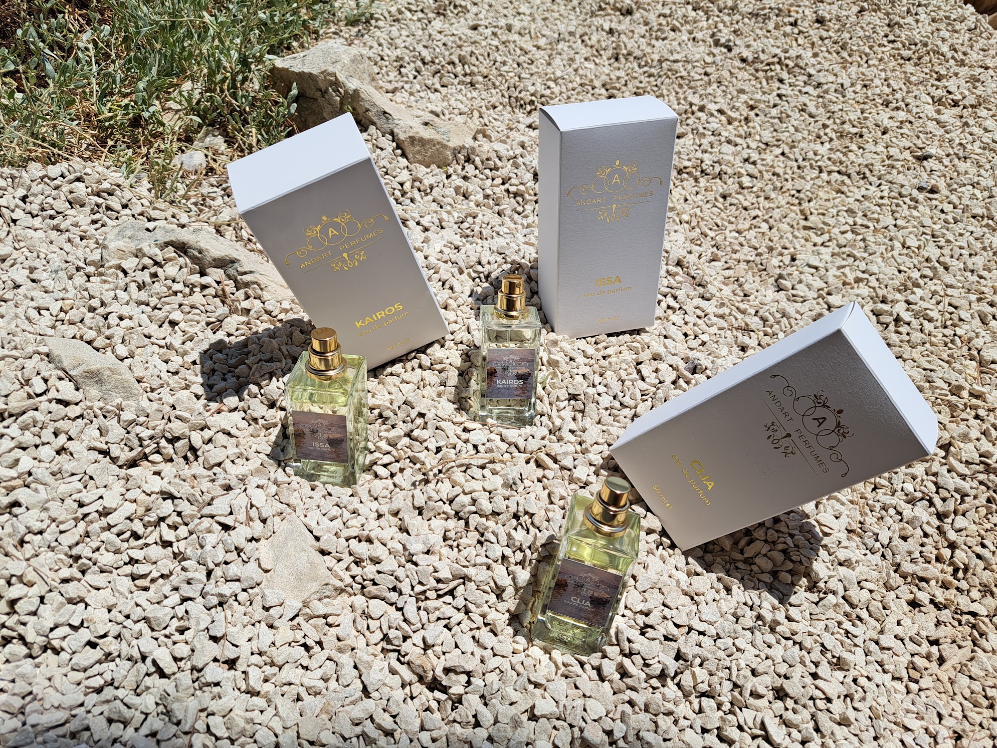 Luxury perfume collection